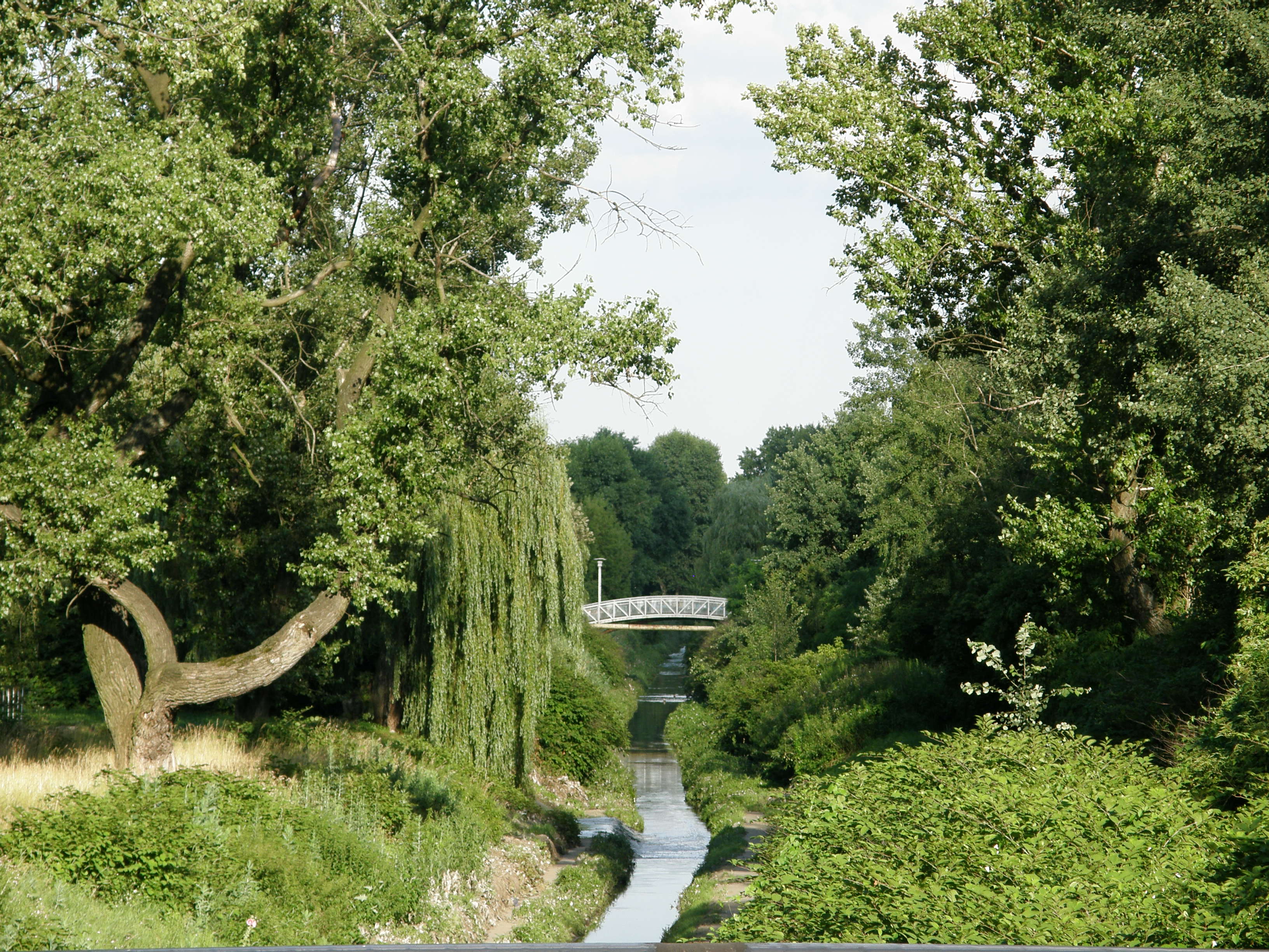 Fot. 3. Rawa poniżej oczyszczalni ścieków Klimzowiec (fot. M. Rzętała).