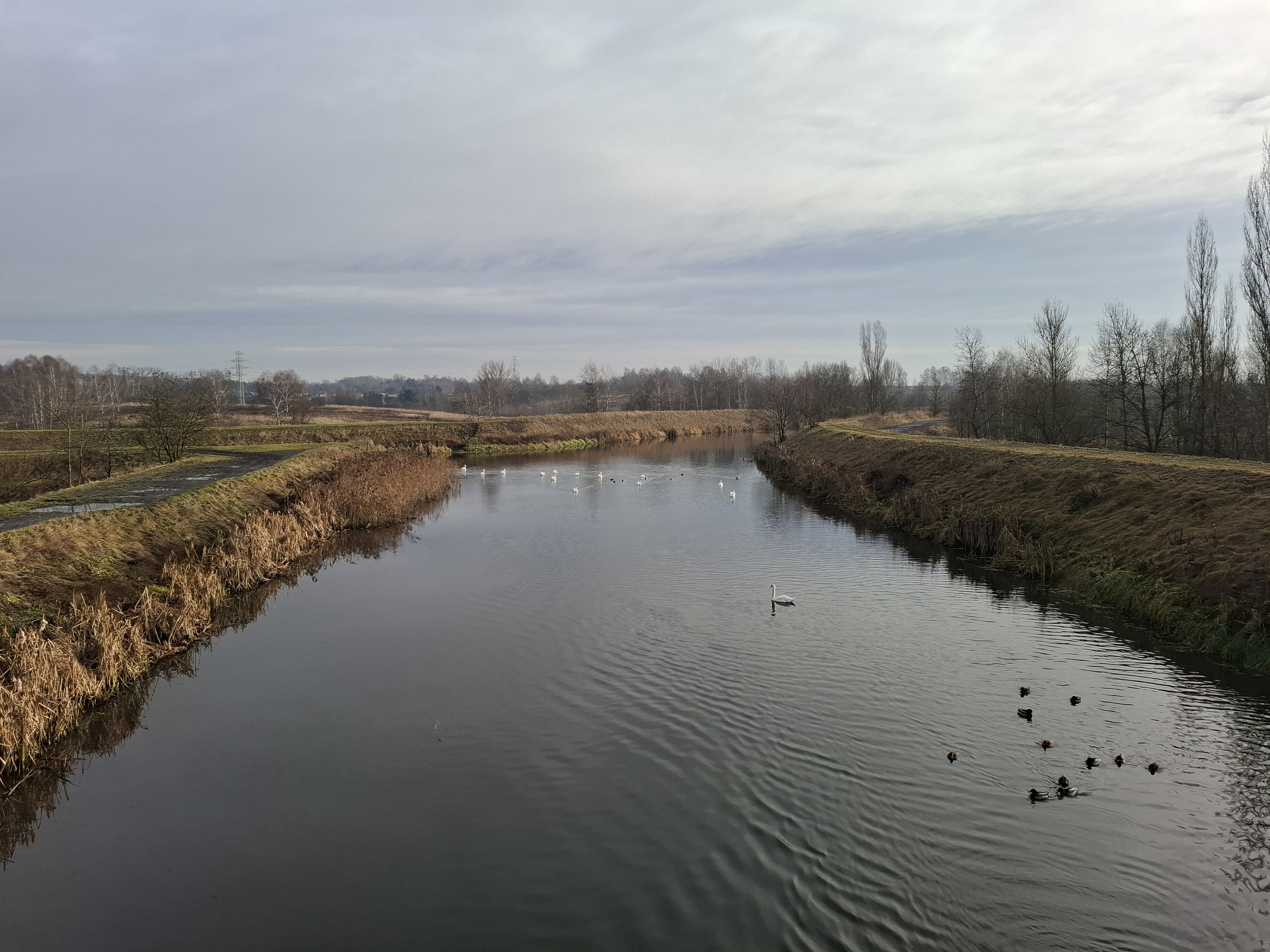 Fot. 5. Brynica w rejonie ujścia Jaworznika (fot. M. Rzętała).