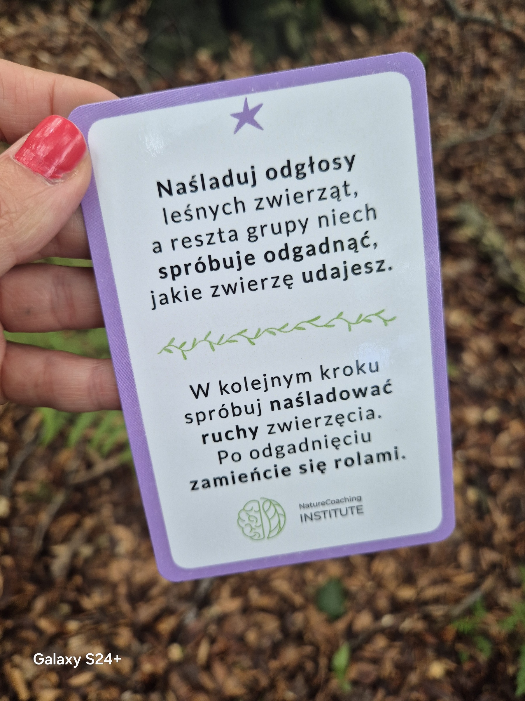 Karty do kąpieli leśnych. Praca z kartami do kąpieli leśnych (fot. M. Ochwat)