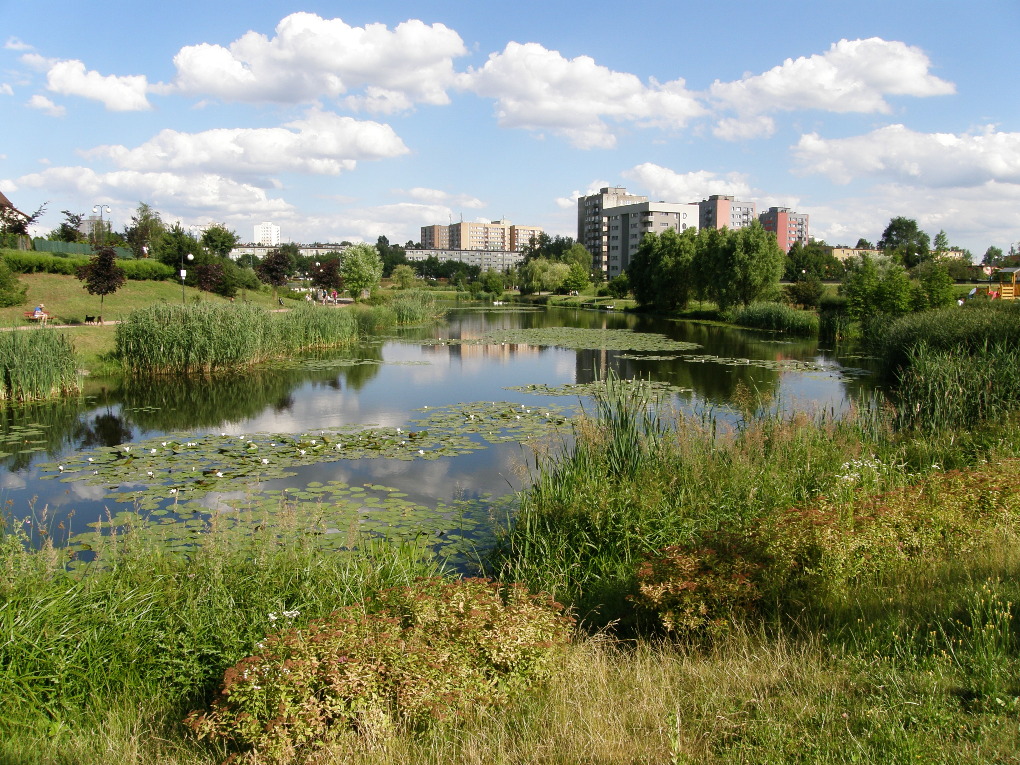Fot. 8. Staw Amelung w Chorzowie (fot. M. Rzętała).