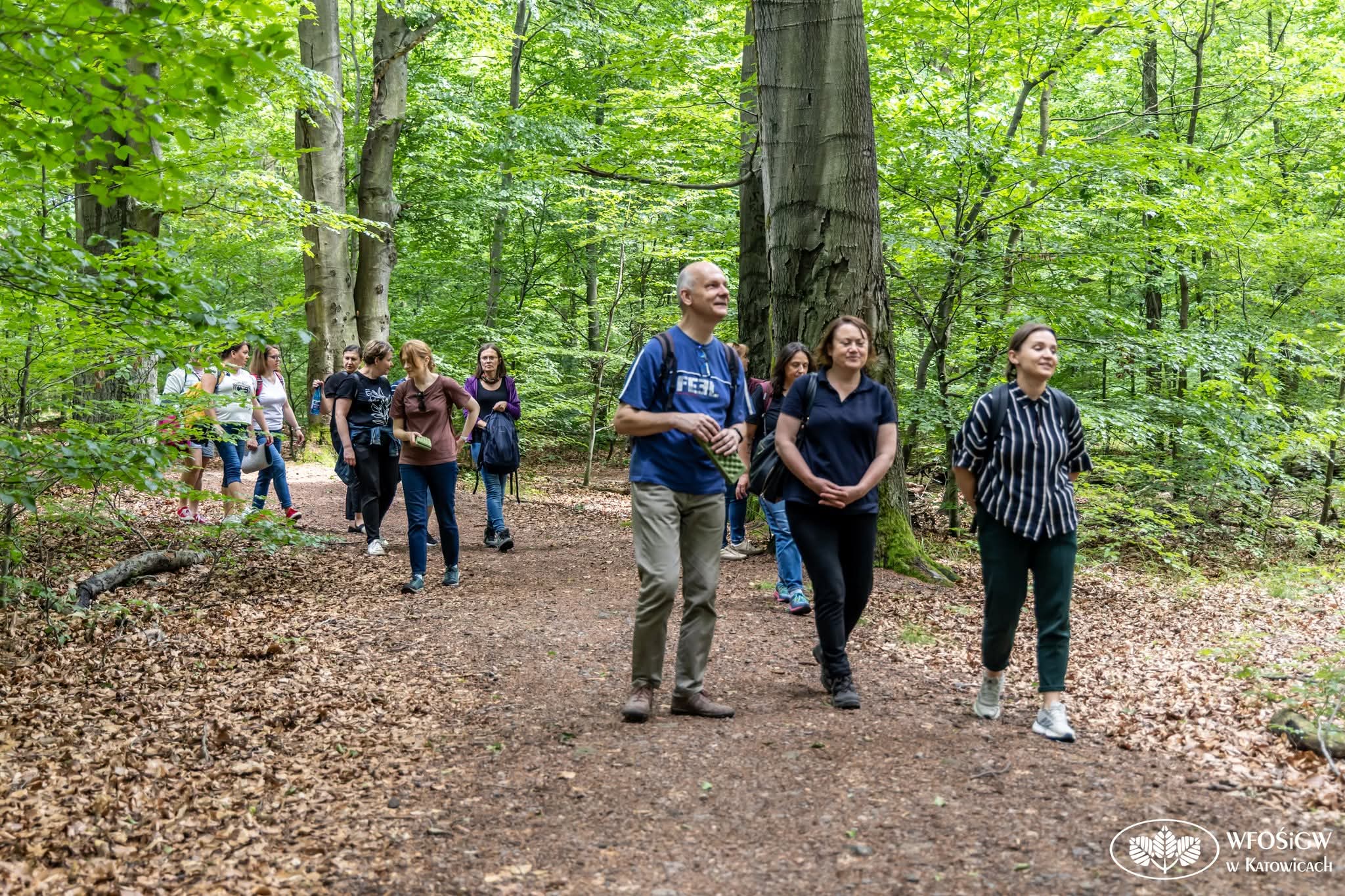 Spacer w ramach kąpieli leśnych (fot. Wojewódzki Fundusz Ochrony Środowiska i Gospodarki Wodnej)
