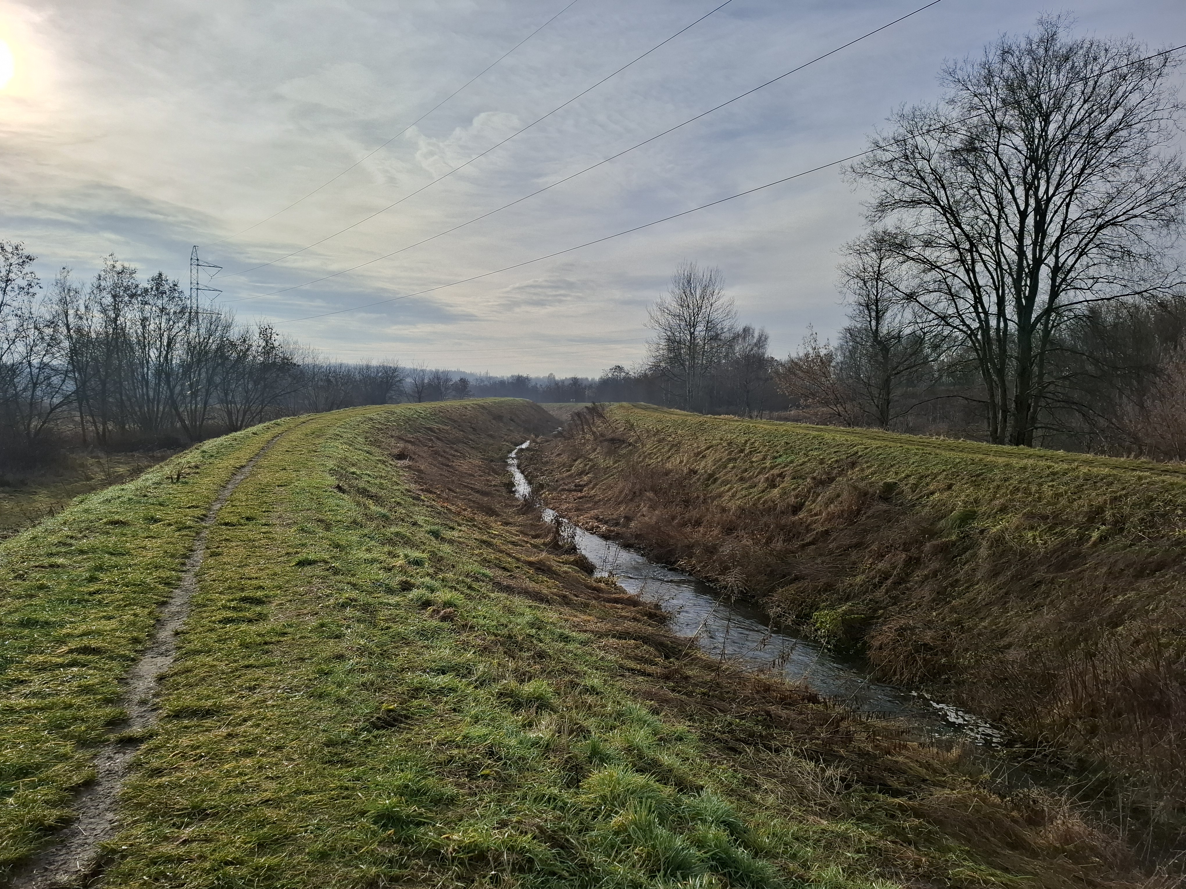 Fot. 4. Jaworznik przed ujściem do Brynicy (fot. M. Rzętała).