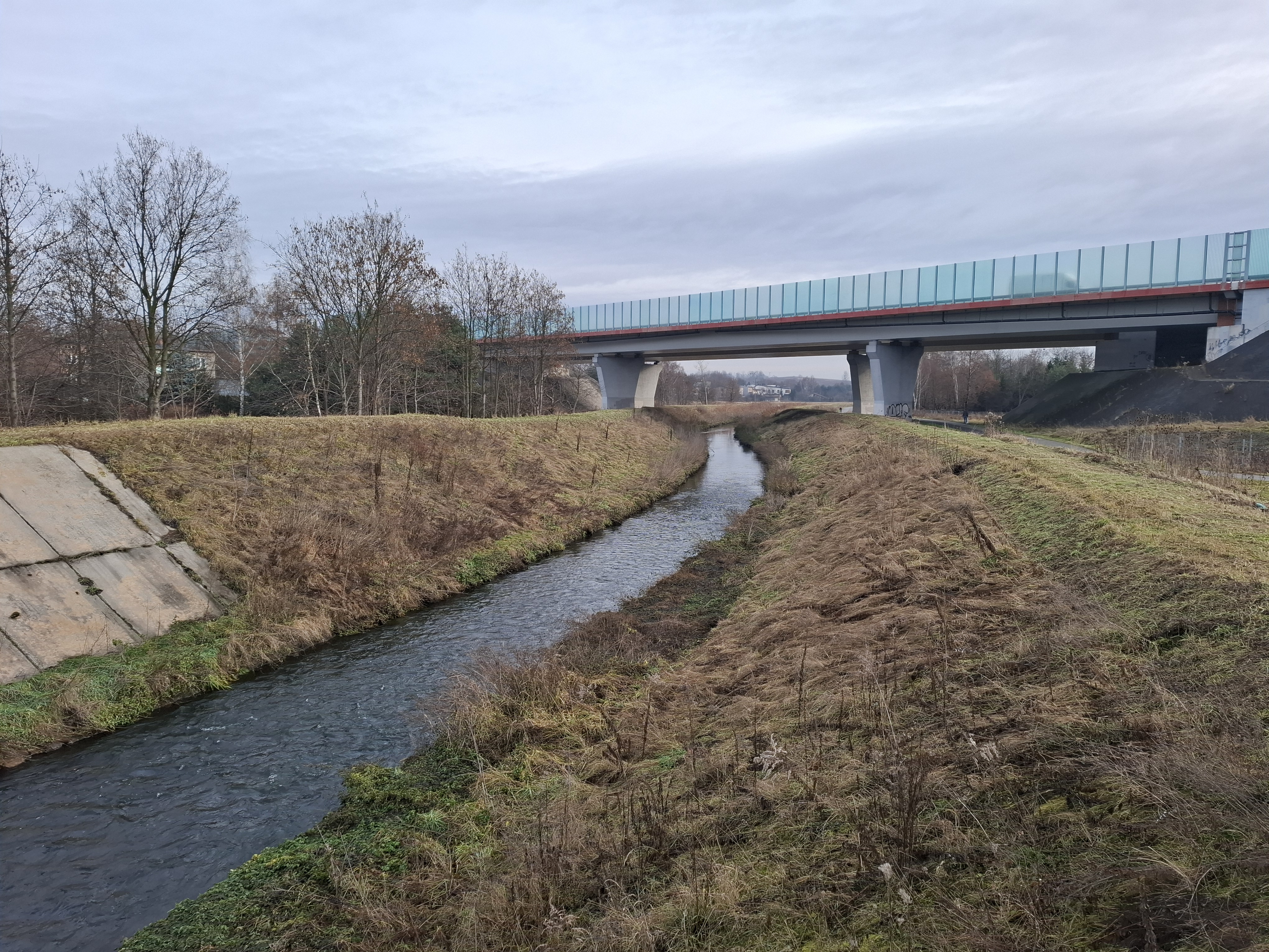 Fot. 3. Brynica poniżej ujścia Szarlejki (fot. M. Rzętała).