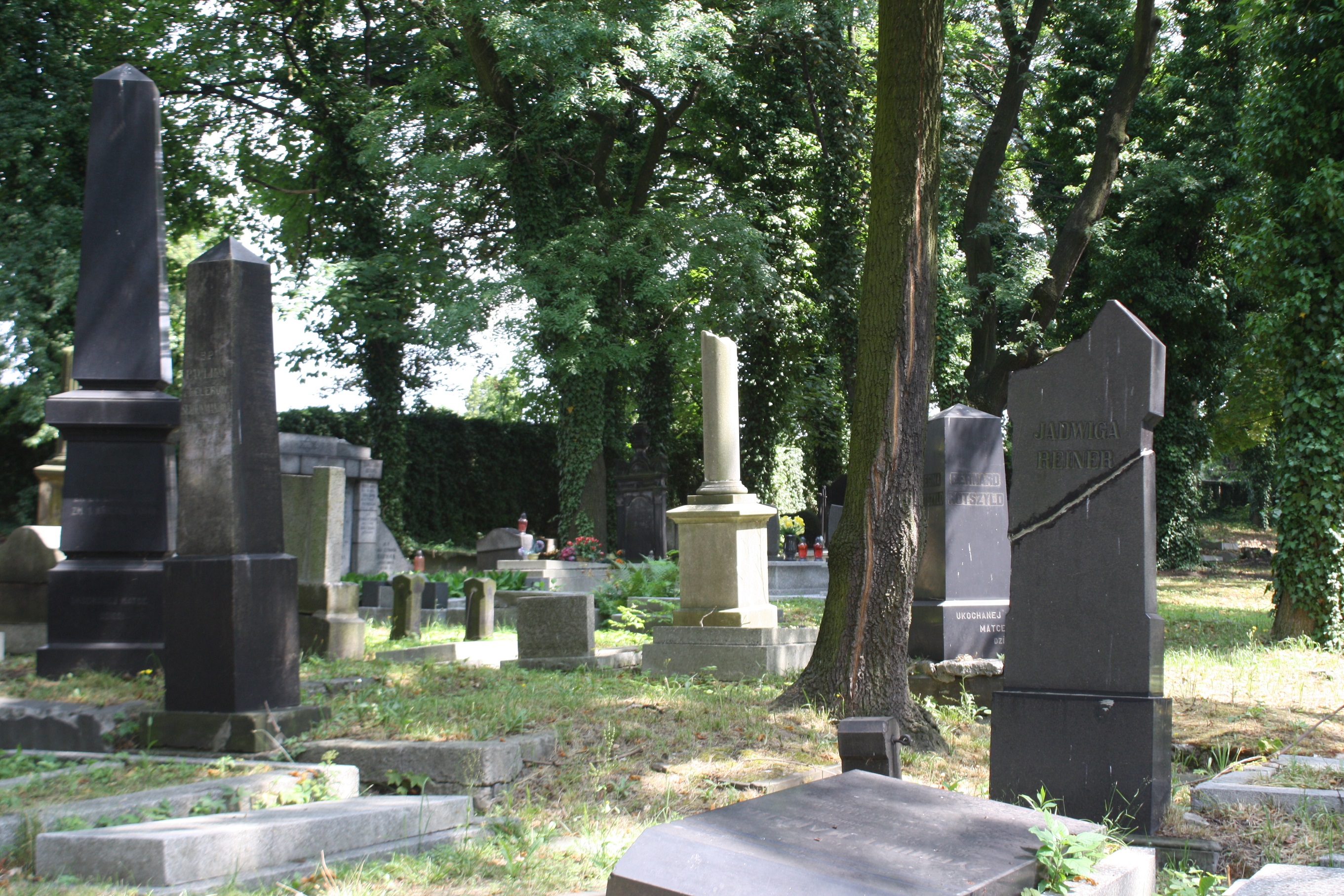 Cmentarz żydowski w Sosnowcu. Fot. Maria Lipok-Bierwiaczonek, 2017.