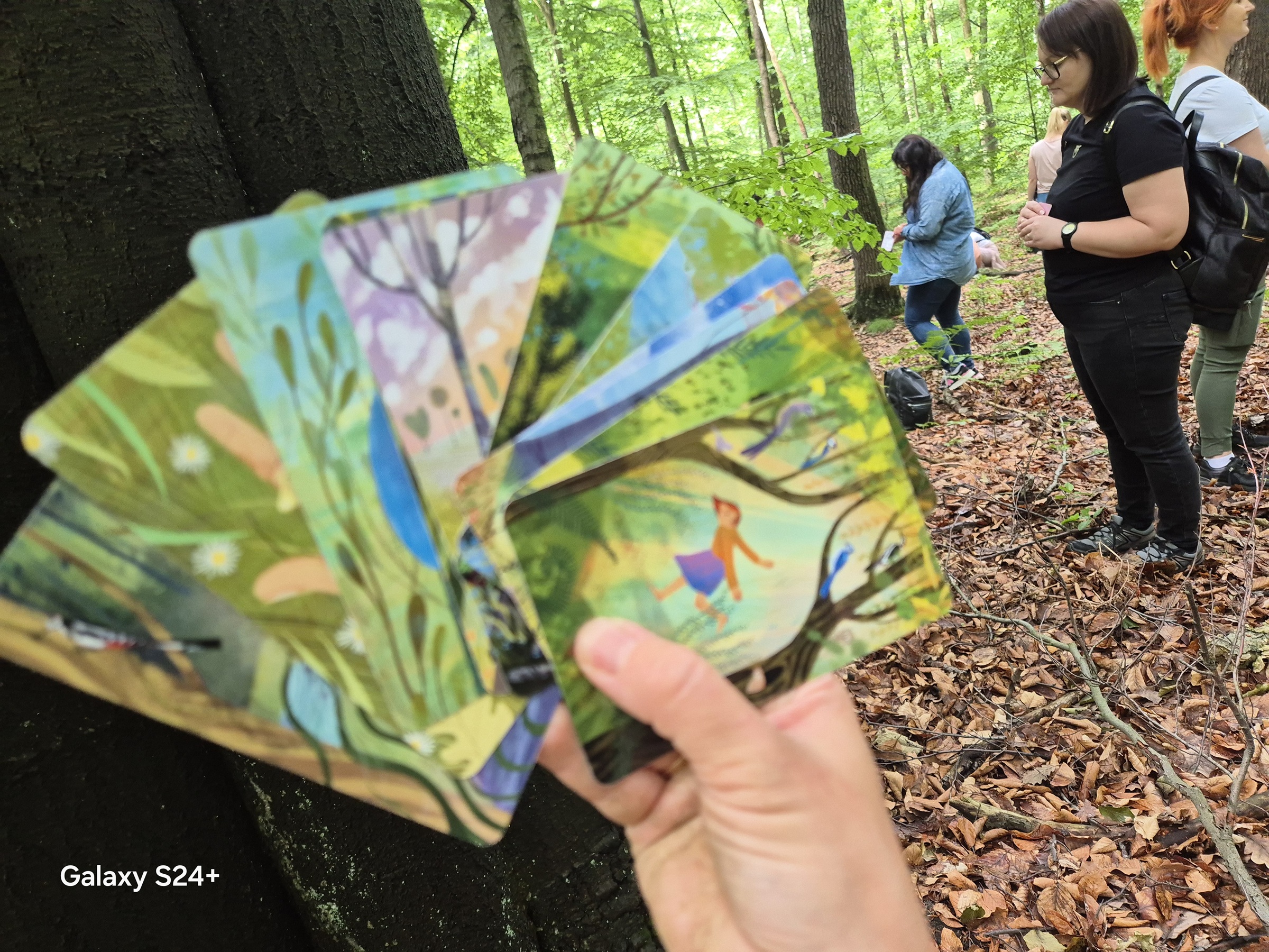 Karty do kąpieli leśnych – praca z kartami dla dzieci (fot. M. Ochwat)