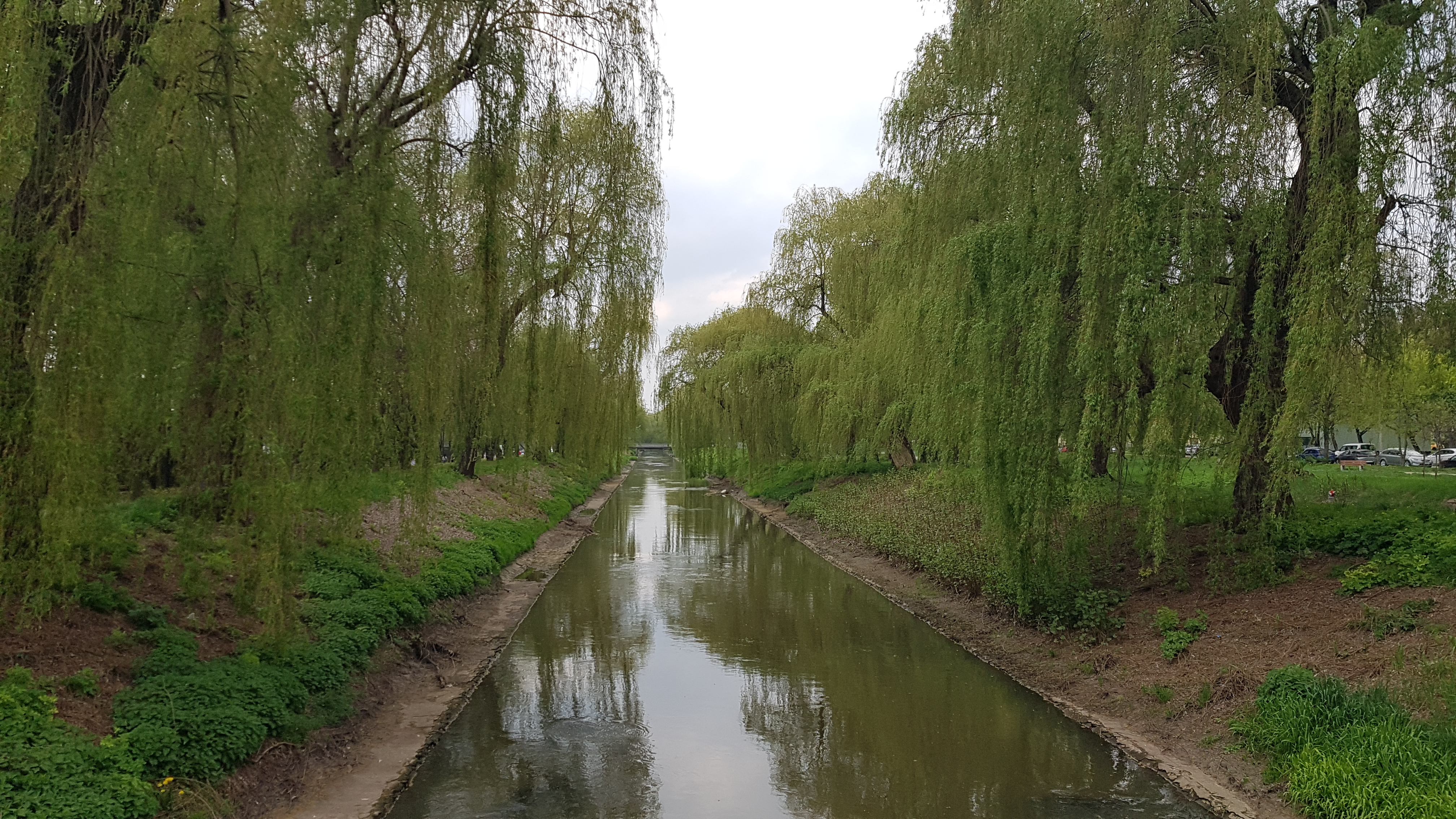 Fot. 7. Brynica w Sosnowcu (fot. M. Rzętała).