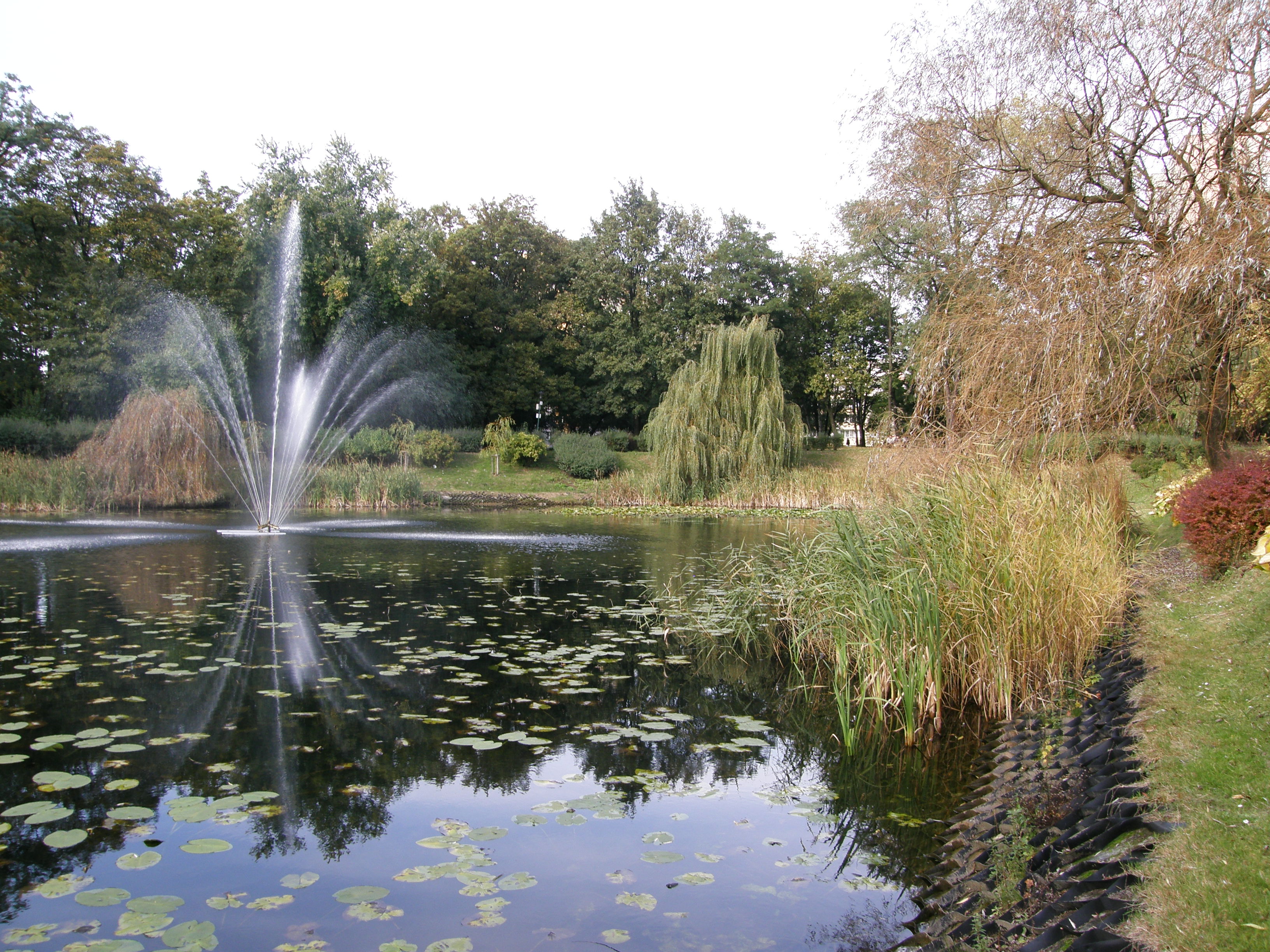 Fot. 9. Zbiornik w Parku Róż w Chorzowie (fot. M. Rzętała).