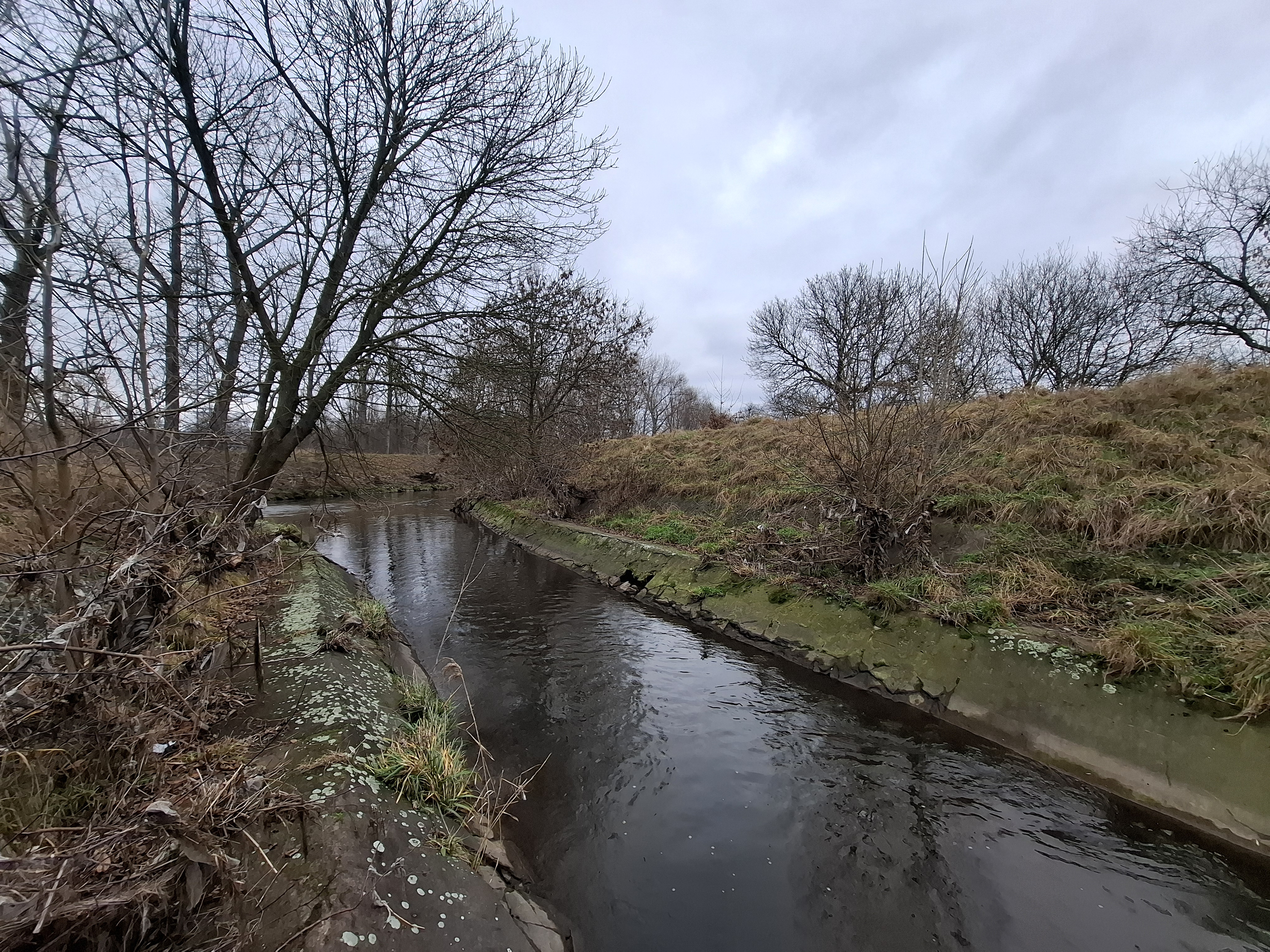 Fot. 7. Ujście Rawy do Brynicy (fot. M. Rzętała).