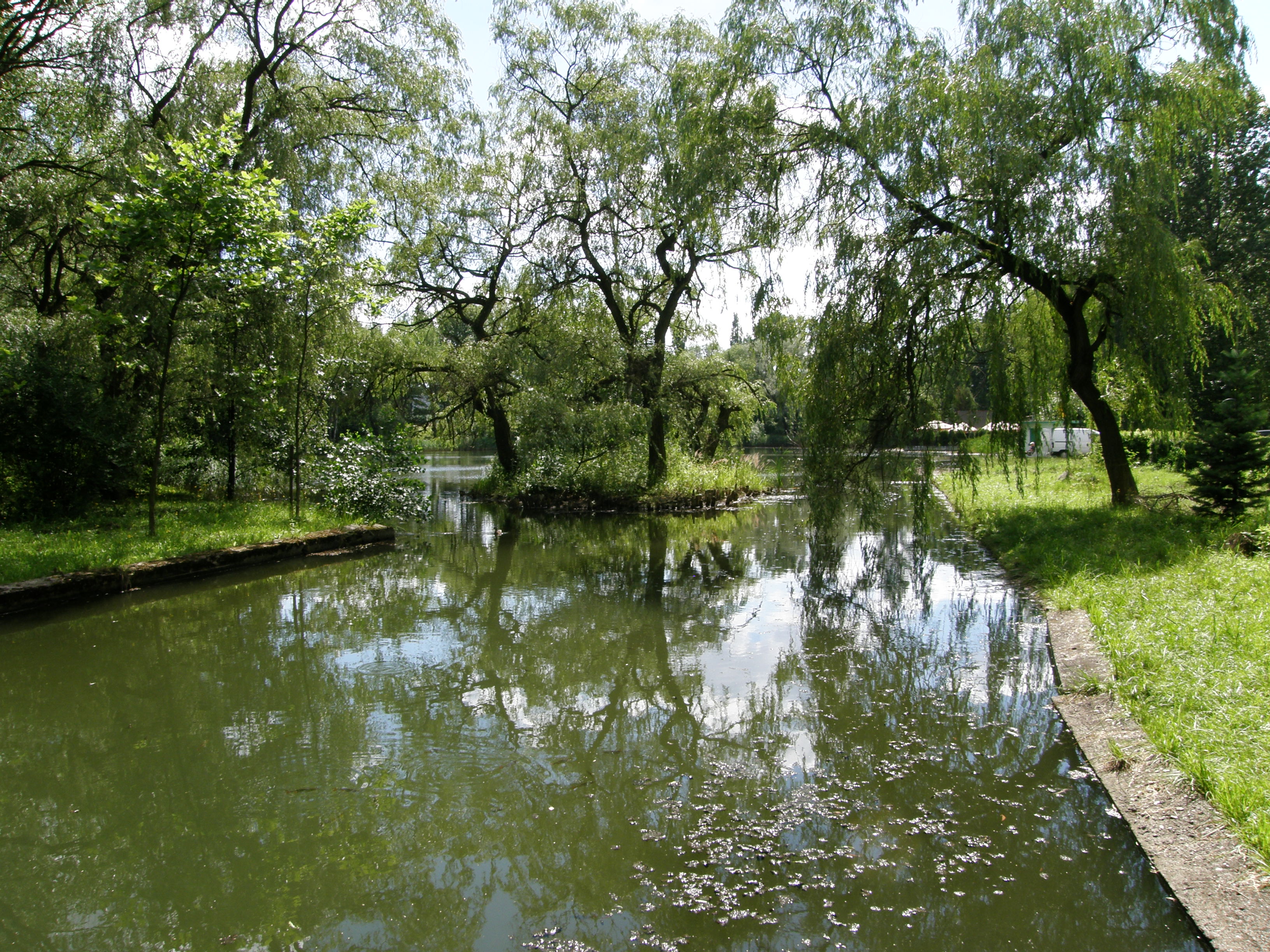 Fot. 12. Zbiornik w Dolinie Górnika w Chorzowie (fot. M. Rzętała).