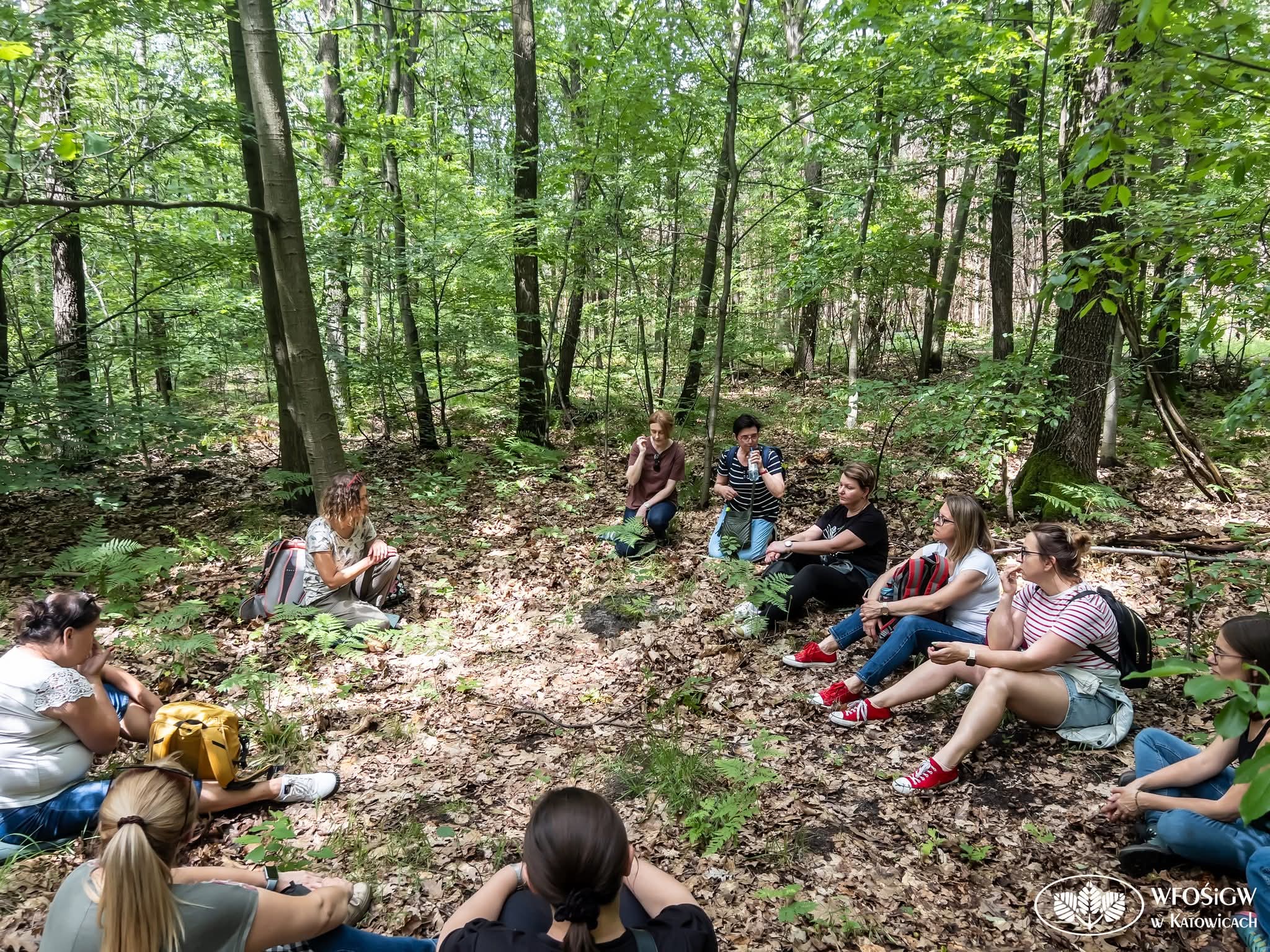Spacer w ramach kąpieli leśnych (fot. Wojewódzki Fundusz Ochrony Środowiska i Gospodarki Wodnej)
